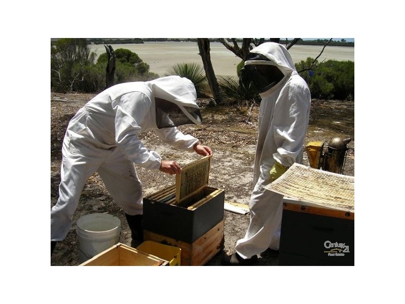 6586 South Coast Road, Karatta SA 5223