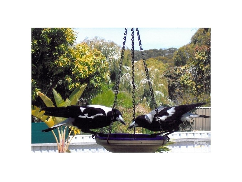 Lot 108 Investigator Avenue, Kingscote SA 5223