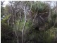 Lot 11 Cnr Seal Bay And Graham Road, Seal Bay SA 5223