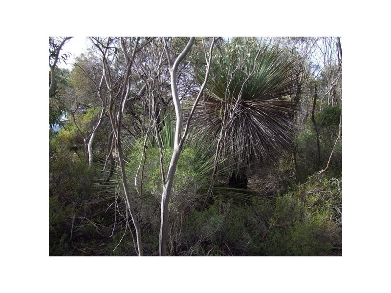 Lot 11 Cnr Seal Bay And Graham Road, Seal Bay SA 5223