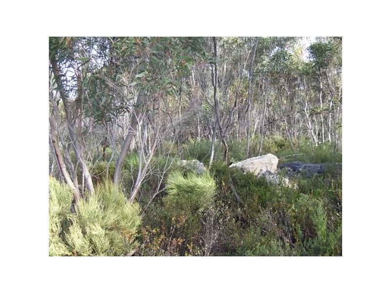 Lot 11 Cnr Seal Bay And Graham Road, Seal Bay SA 5223