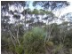 Lot 11 Cnr Seal Bay And Graham Road, Seal Bay SA 5223