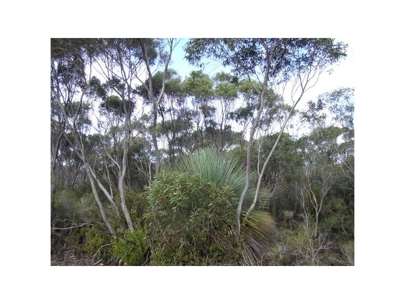 Lot 11 Cnr Seal Bay And Graham Road, Seal Bay SA 5223