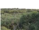 Lot 11 Cnr Seal Bay And Graham Road, Seal Bay SA 5223