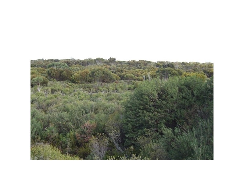 Lot 11 Cnr Seal Bay And Graham Road, Seal Bay SA 5223