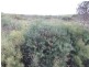 Lot 11 Cnr Seal Bay And Graham Road, Seal Bay SA 5223
