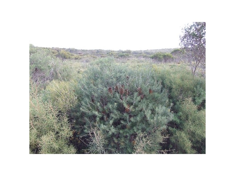 Lot 11 Cnr Seal Bay And Graham Road, Seal Bay SA 5223
