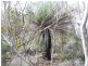 Lot 11 Cnr Seal Bay And Graham Road, Seal Bay SA 5223