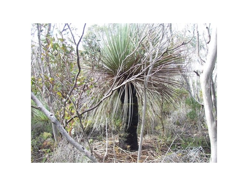 Lot 11 Cnr Seal Bay And Graham Road, Seal Bay SA 5223
