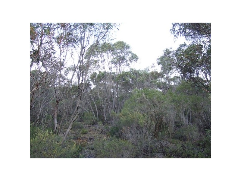 Lot 11 Cnr Seal Bay And Graham Road, Seal Bay SA 5223