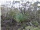 Lot 11 Cnr Seal Bay And Graham Road, Seal Bay SA 5223