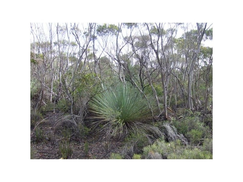 Lot 11 Cnr Seal Bay And Graham Road, Seal Bay SA 5223