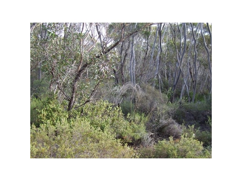 Lot 11 Cnr Seal Bay And Graham Road, Seal Bay SA 5223