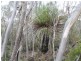 Lot 11 Cnr Seal Bay And Graham Road, Seal Bay SA 5223