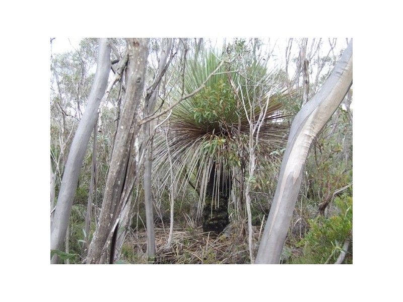 Lot 11 Cnr Seal Bay And Graham Road, Seal Bay SA 5223