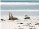 Lot 11 Cnr Seal Bay And Graham Road, Seal Bay SA 5223
