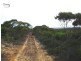 Lot 77 Off Playford Highway, Gosse SA 5223