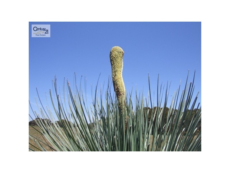 Lot 21 Government Road, D’estrees Bay SA 5223