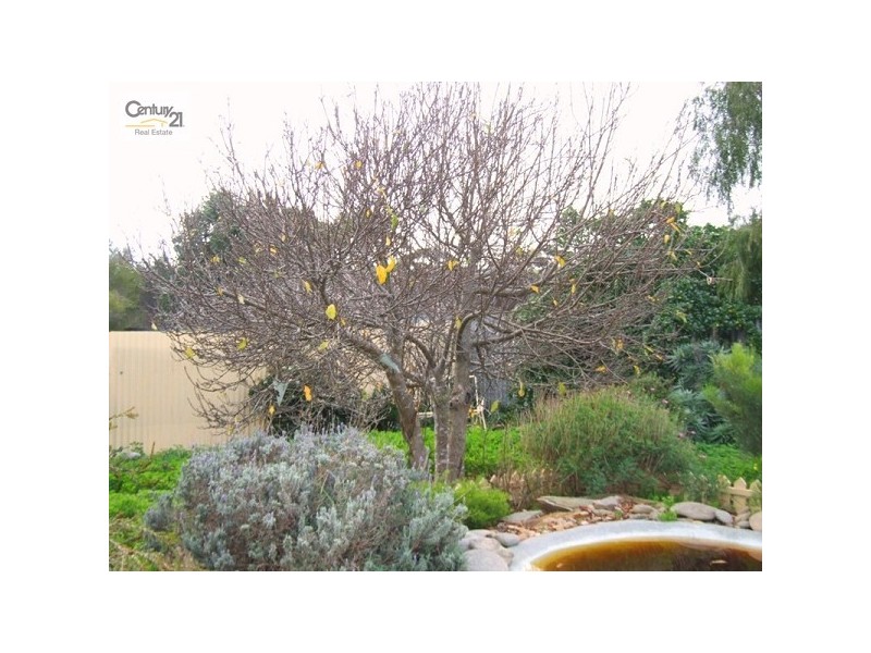 1 Archibald Street, American River SA 5221