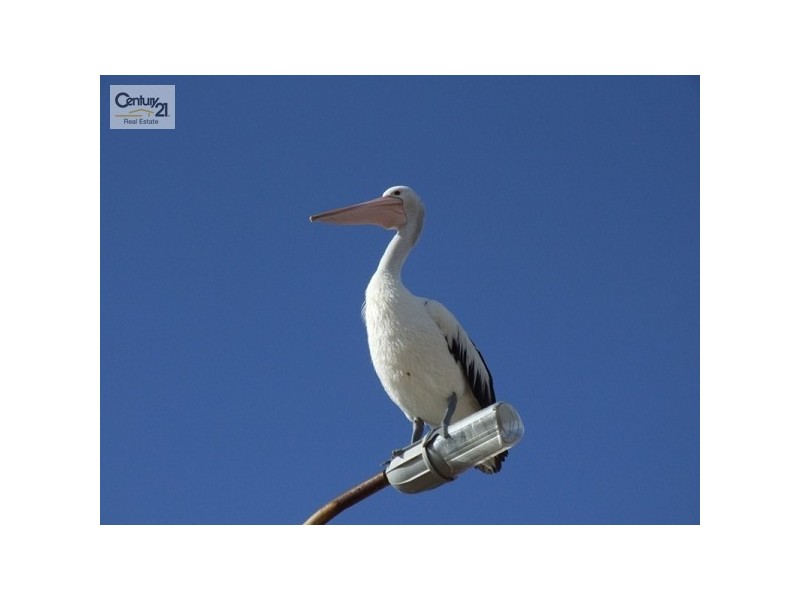 1 Archibald Street, American River SA 5221