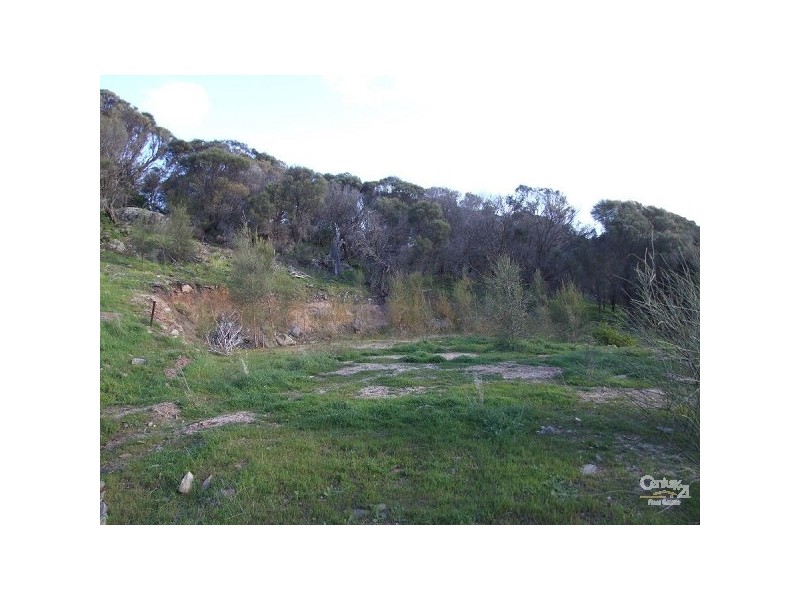Lot 165 Binneys Track, Penneshaw SA 5222