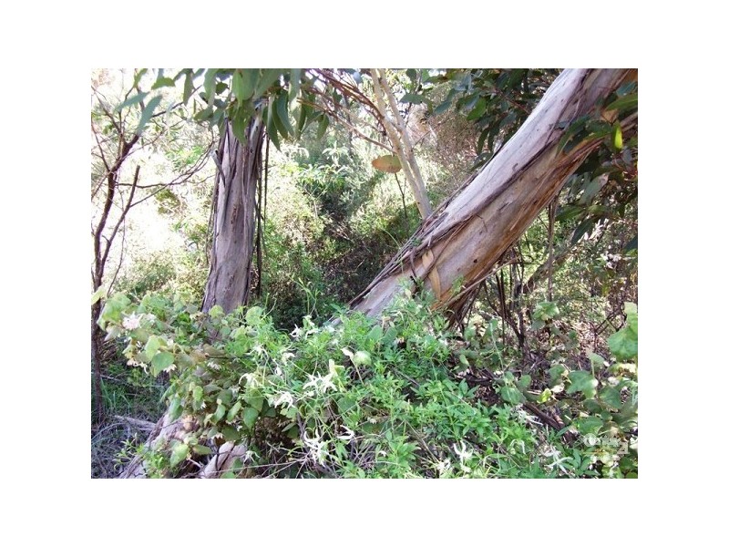 188 Flinders Road, Vivonne Bay SA 5223