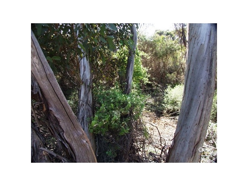 188 Flinders Road, Vivonne Bay SA 5223