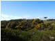Sec H Public Road, Emu Bay SA 5223