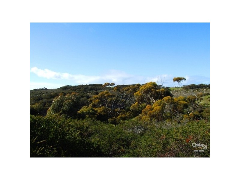 Sec H Public Road, Emu Bay SA 5223