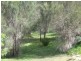 Lot 100 Scenic Drive, American River SA 5221