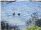 Lot 100 Scenic Drive, American River SA 5221