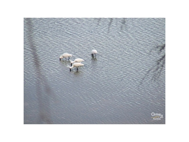 Lot 100 Scenic Drive, American River SA 5221