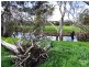 Section 2012 Playford Highway, Cygnet River SA 5223