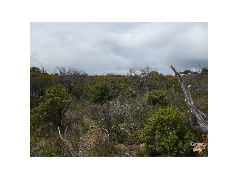 Lot 16 Pennington Road, Island Beach SA 5222