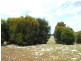 Lot 4 East West Rd, Penneshaw SA 5222