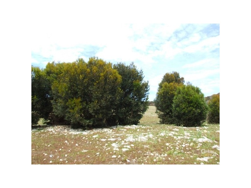 Lot 4 East West Rd, Penneshaw SA 5222