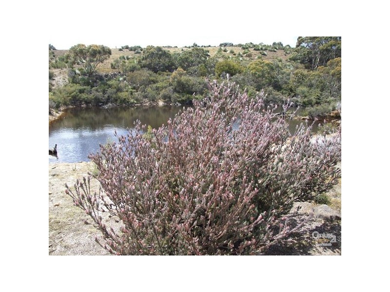 Lot 201 Playford Highway, Gosse SA 5223