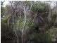 1 Graham Rd, Seal Bay SA 5223