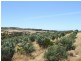 189 Lonies Lane, Emu Bay SA 5223