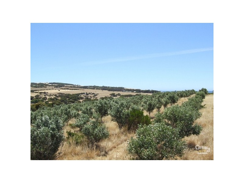 189 Lonies Lane, Emu Bay SA 5223