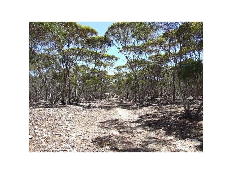 51-56 North Coast Road, Kingscote SA 5223