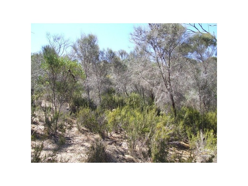 Lot 103 Bayview Road, American River SA 5221