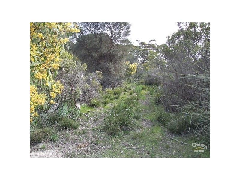 Lot 38 Island Beach Road, Island Beach SA 5222
