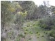 Lot 38 Island Beach Road, Island Beach SA 5222