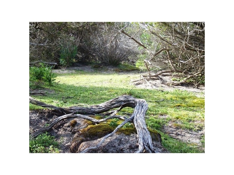 3 Stevens Rd, Emu Bay SA 5223