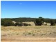 Lot 101 Jeffs Road, Penneshaw SA 5222