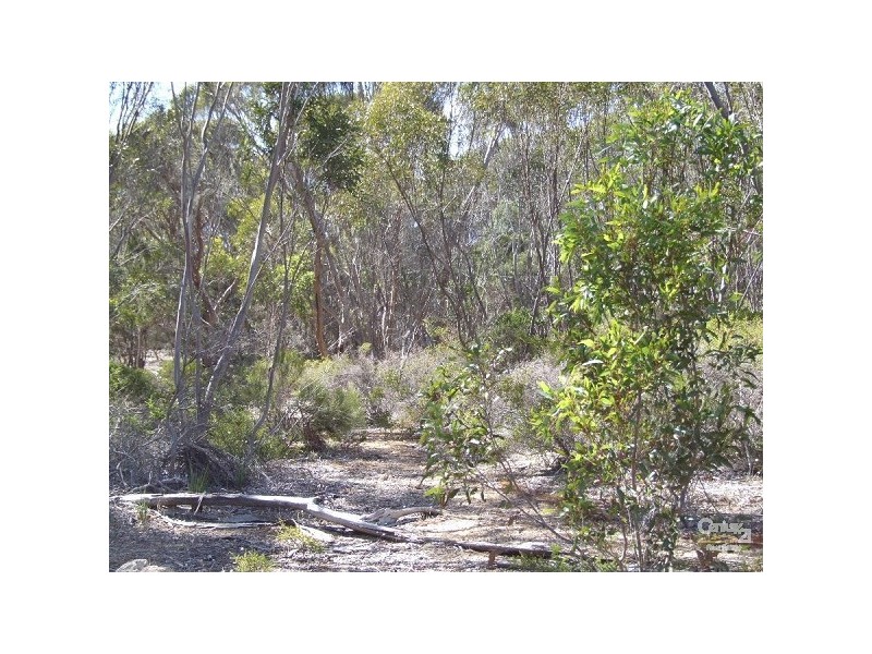 Lot 101 Jeffs Road, Penneshaw SA 5222