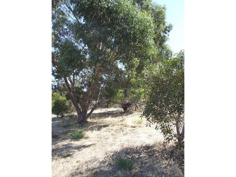 Lot 101 Jeffs Road, Penneshaw SA 5222