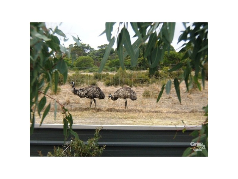 17 Buick Drive, American River SA 5221