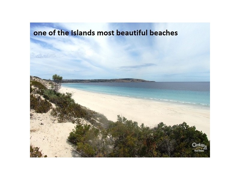 59 Hawthorn Avenue, Emu Bay SA 5223